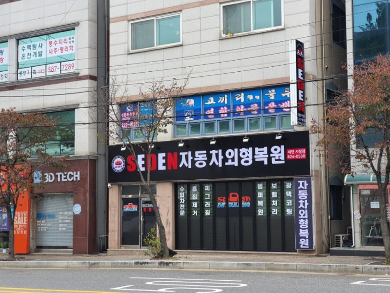 세덴 이미지