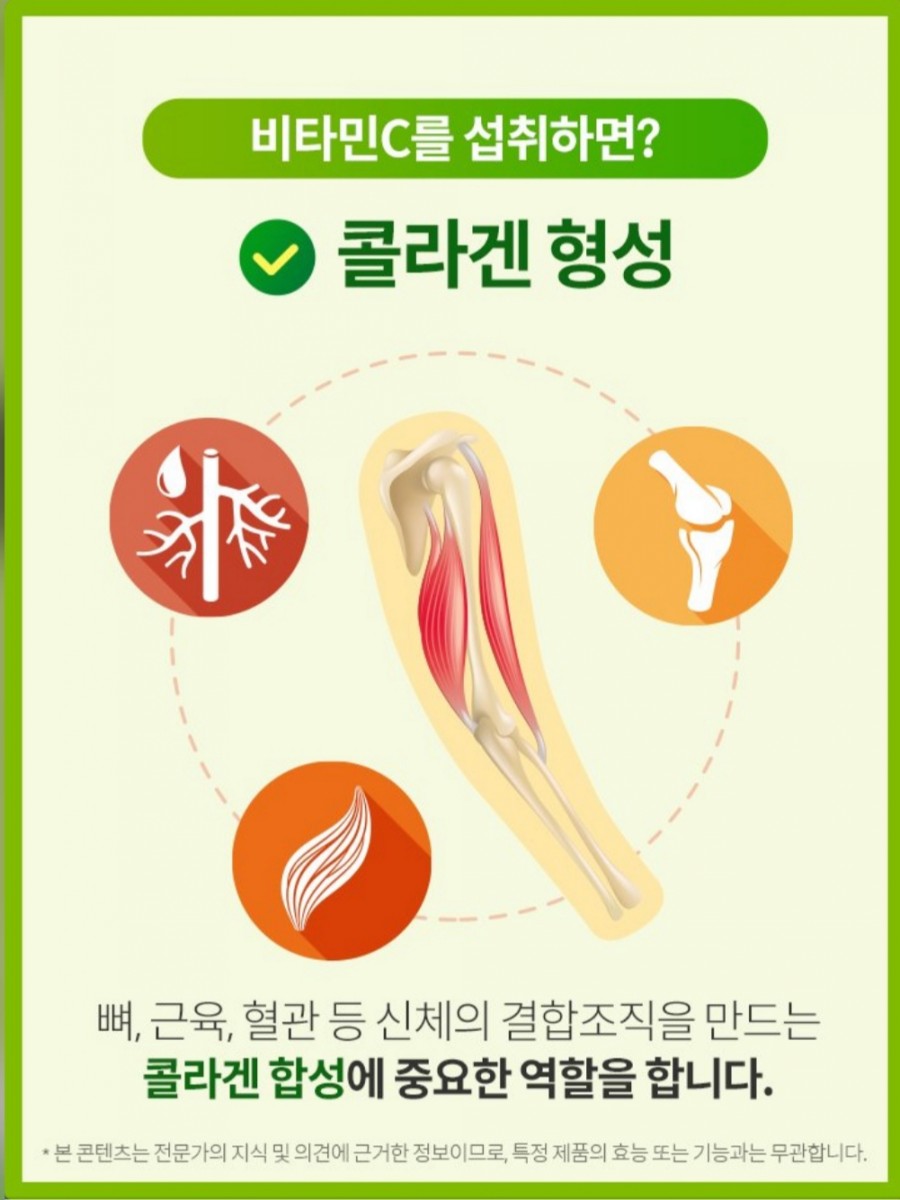 비타민이야기 이미지