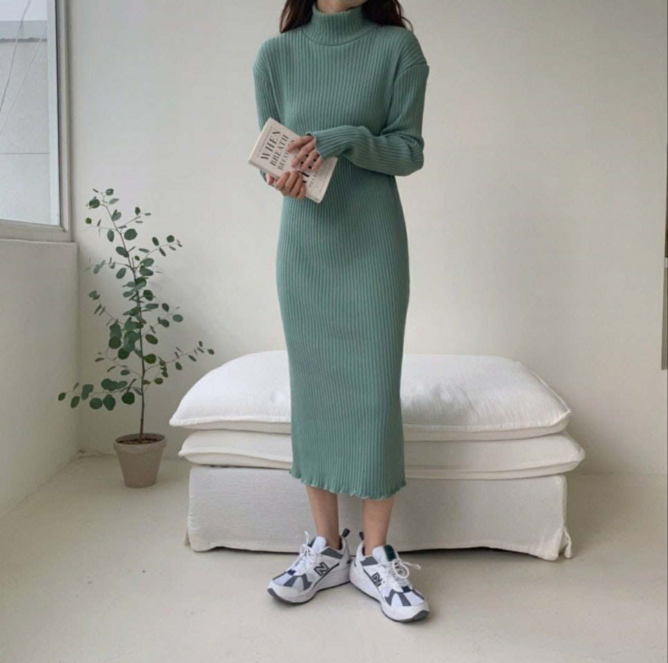 폴라씨 이미지