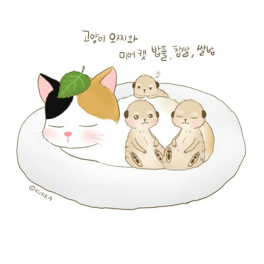 명진네 이미지