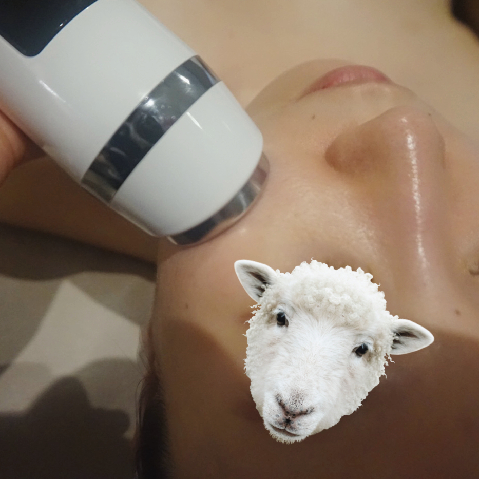 힐링숲에스테틱 이미지