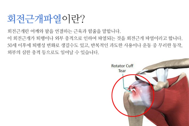 단대오거리정형외과의원 이미지
