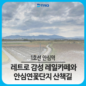 안심카페 이미지