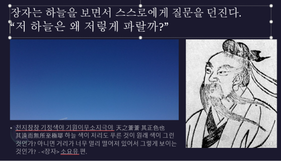 대붕 이미지