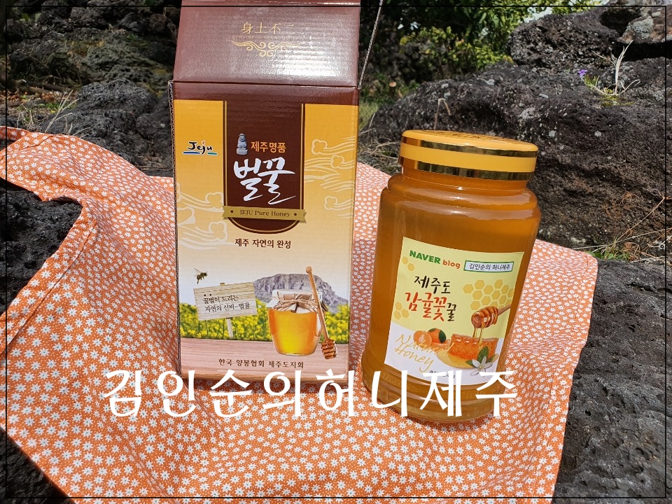 김인순의허니제주 이미지