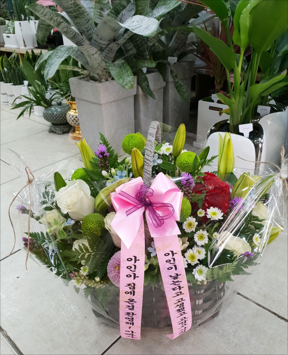 대한꽃도매 이미지