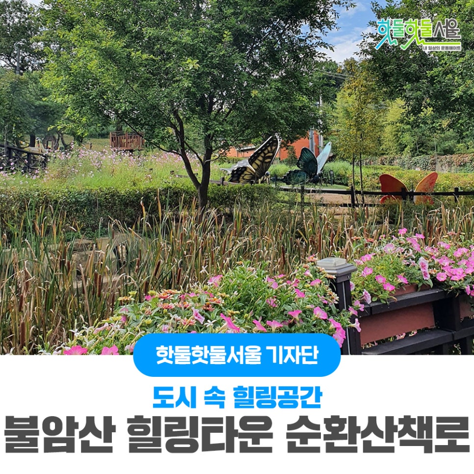 수힐링타운 이미지