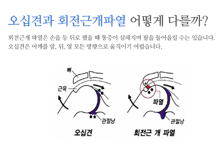 단대오거리정형외과의원 이미지