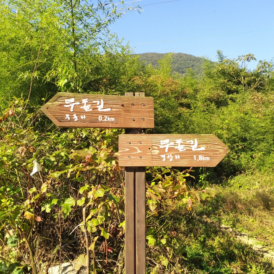 무동골전통장 이미지