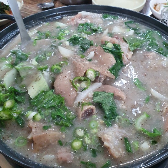 돈본날 이미지