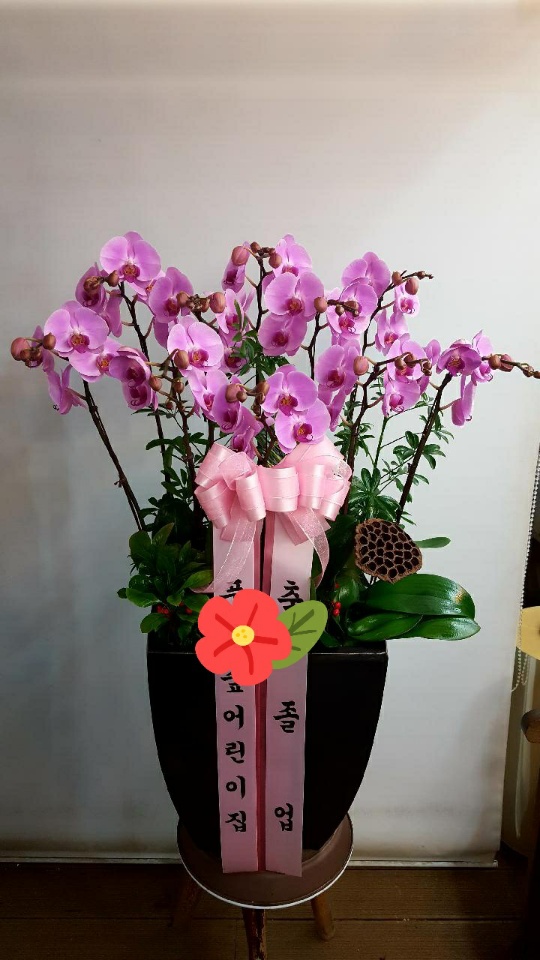 조윤주시인의꽃갤러리 이미지