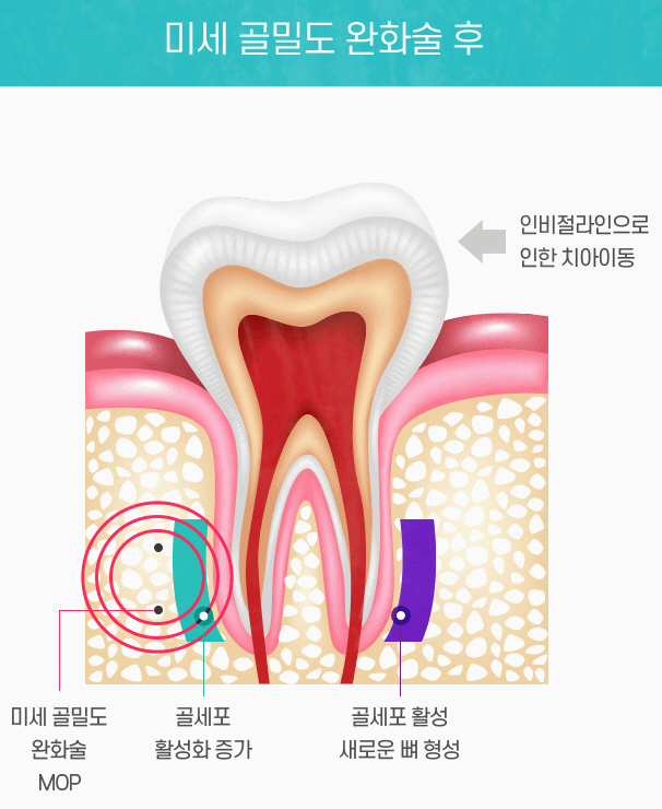 더뉴치과의원 이미지