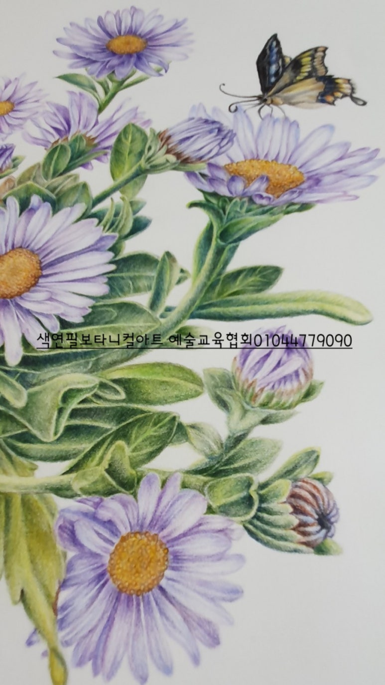 십오센티미터 이미지