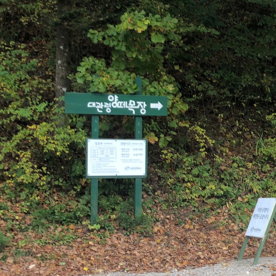 향호식당 이미지
