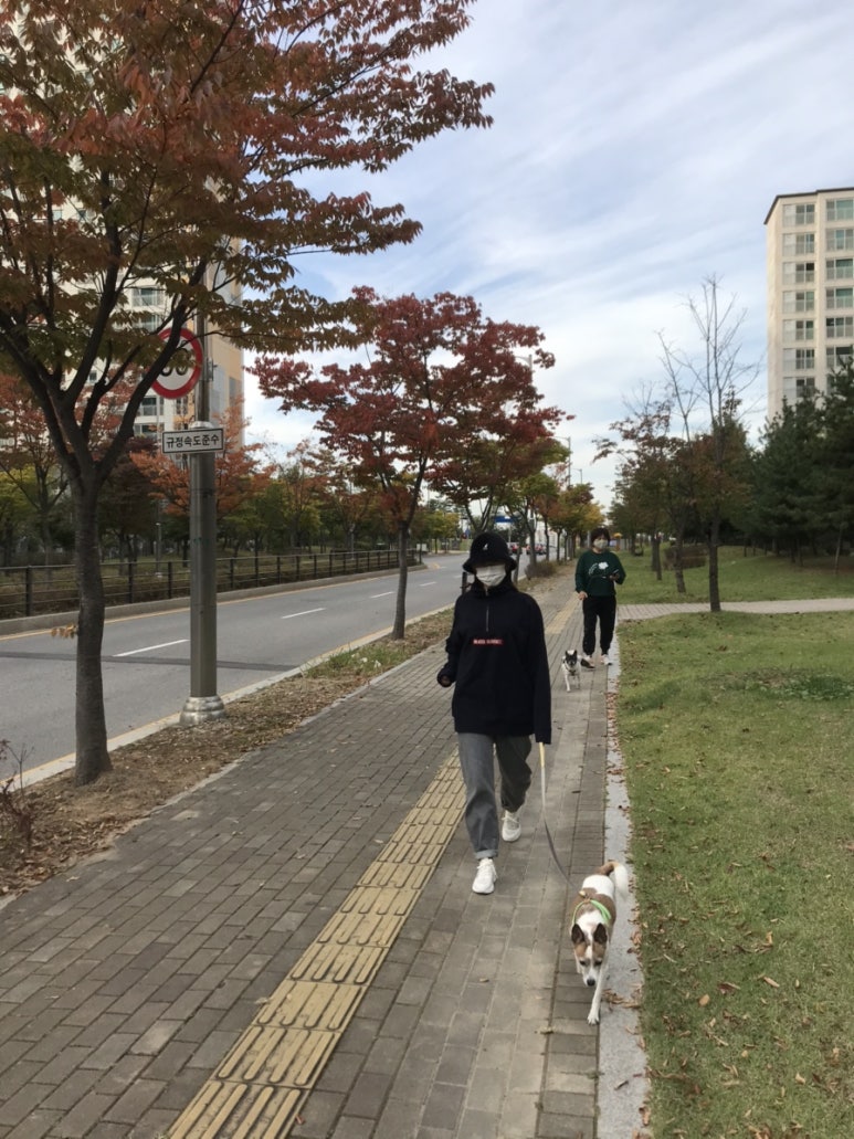 석천생선구이 이미지