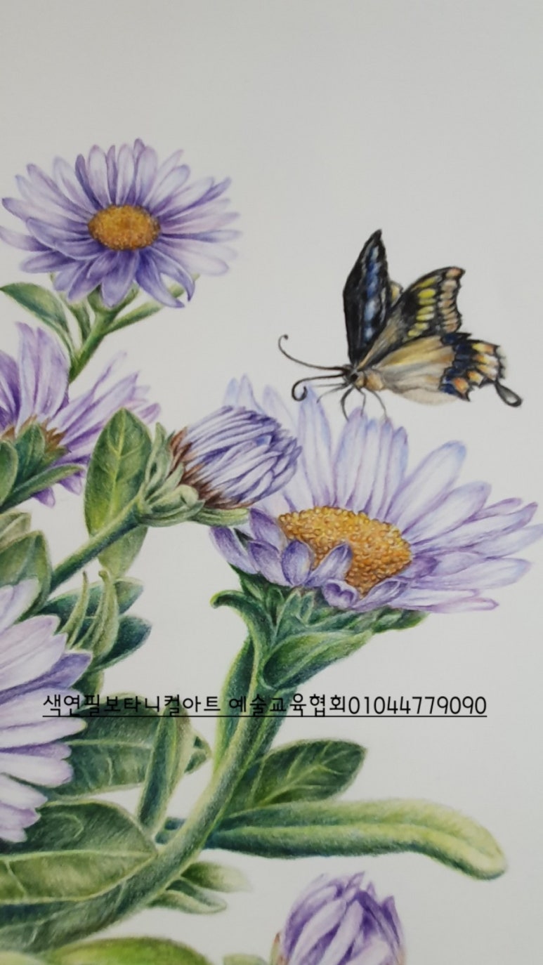 십오센티미터 이미지