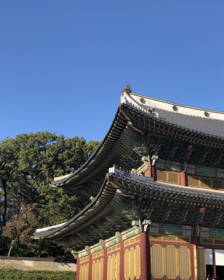 다한투어 이미지