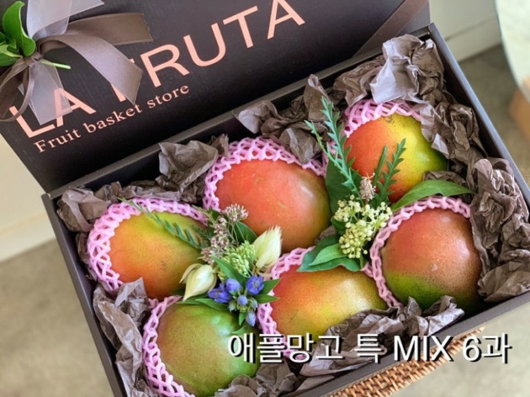 라푸르따 이미지