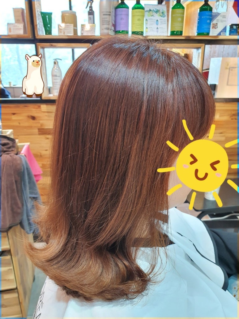 보배로이헤어 이미지