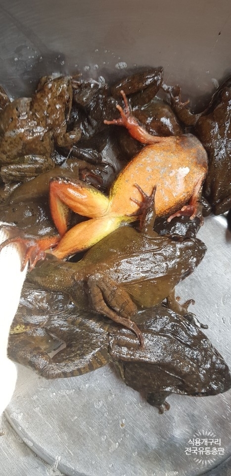 백두유통 이미지