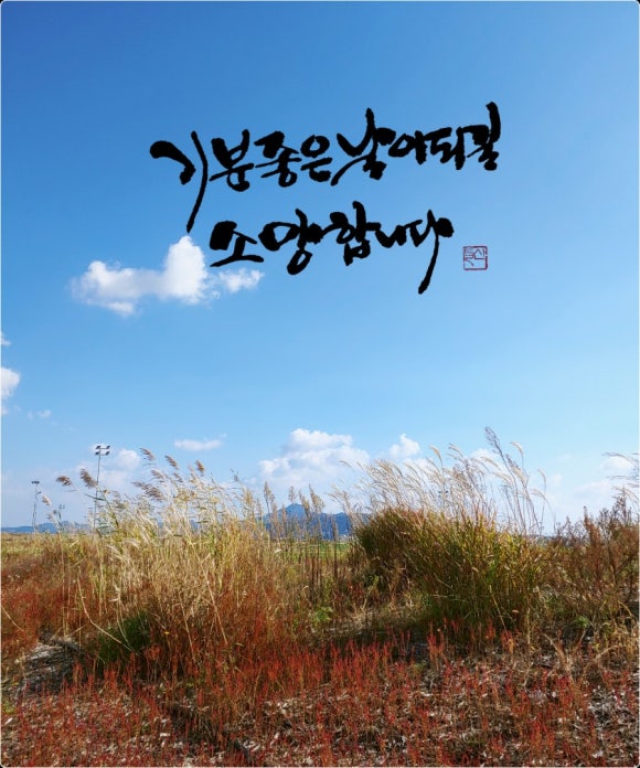 송철 이미지