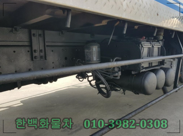 짱활어 이미지