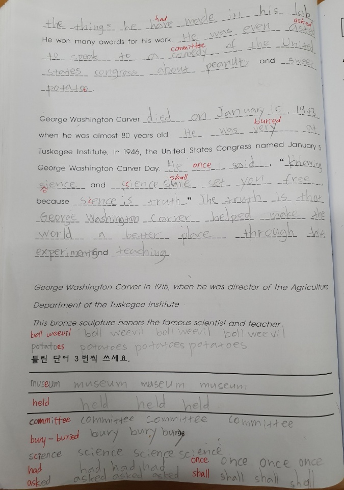 브랜디영어학원 이미지