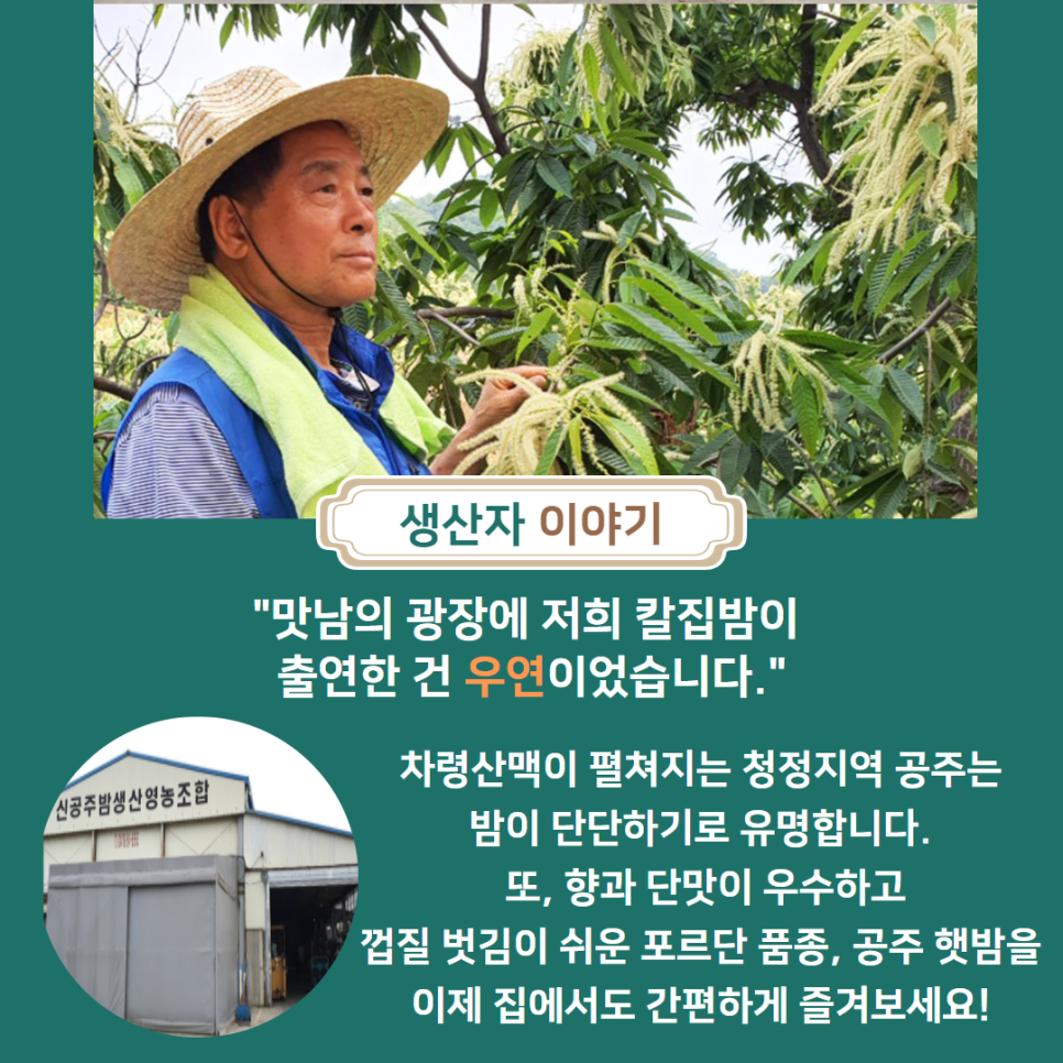 신공주밤생산영농조합 이미지
