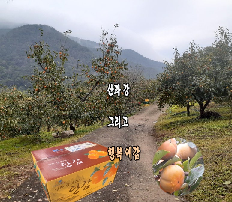 산과강 이미지