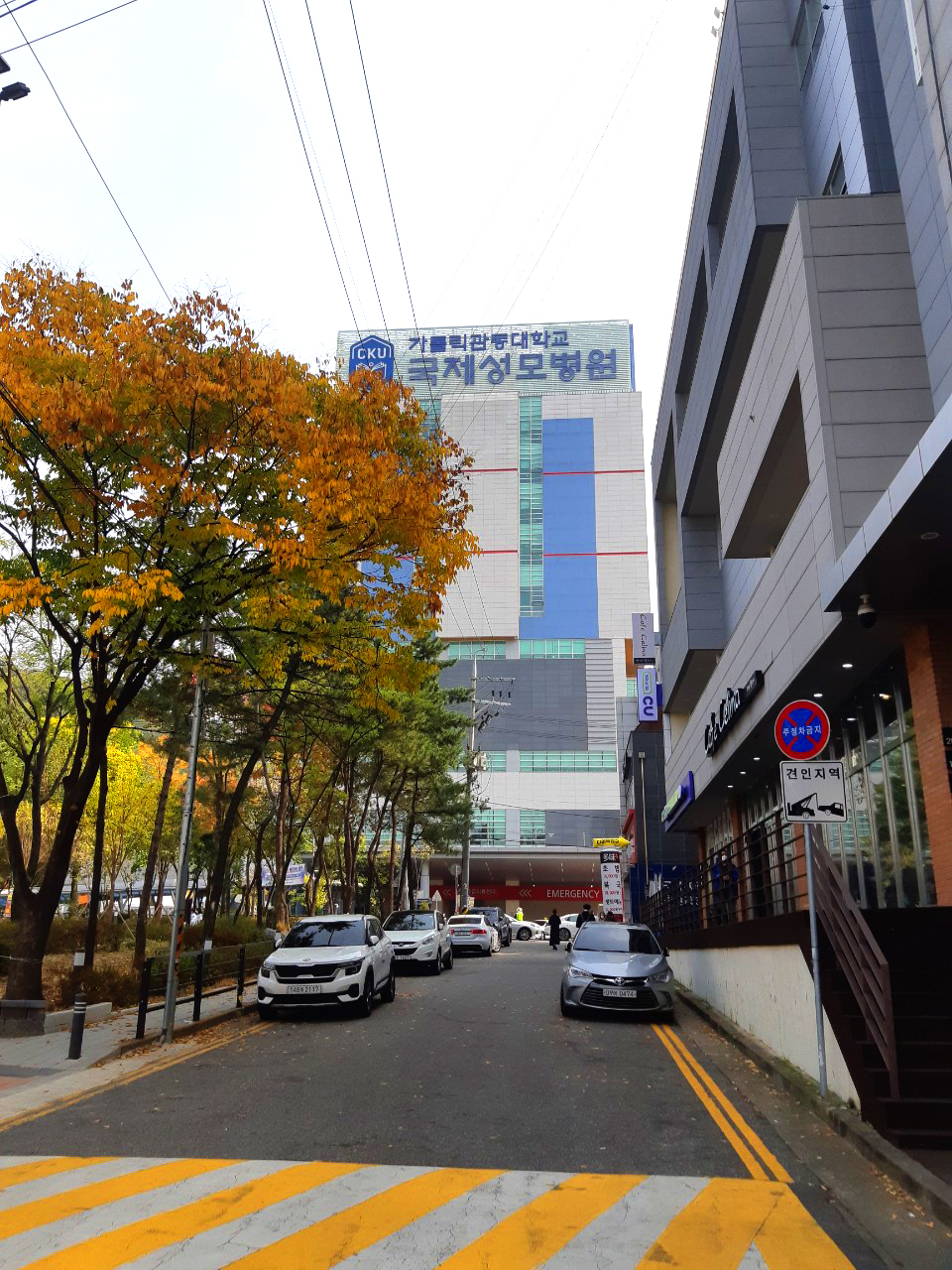 카톨릭의대성모병원 이미지