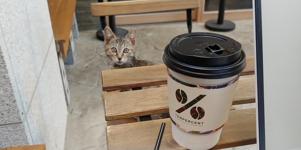 텐퍼센트연산 이미지