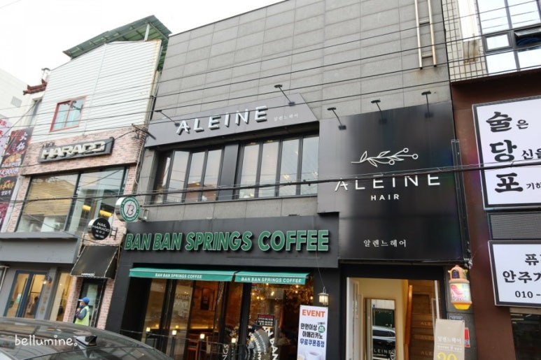 헤어알렌느 이미지