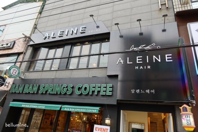 헤어알렌느 이미지