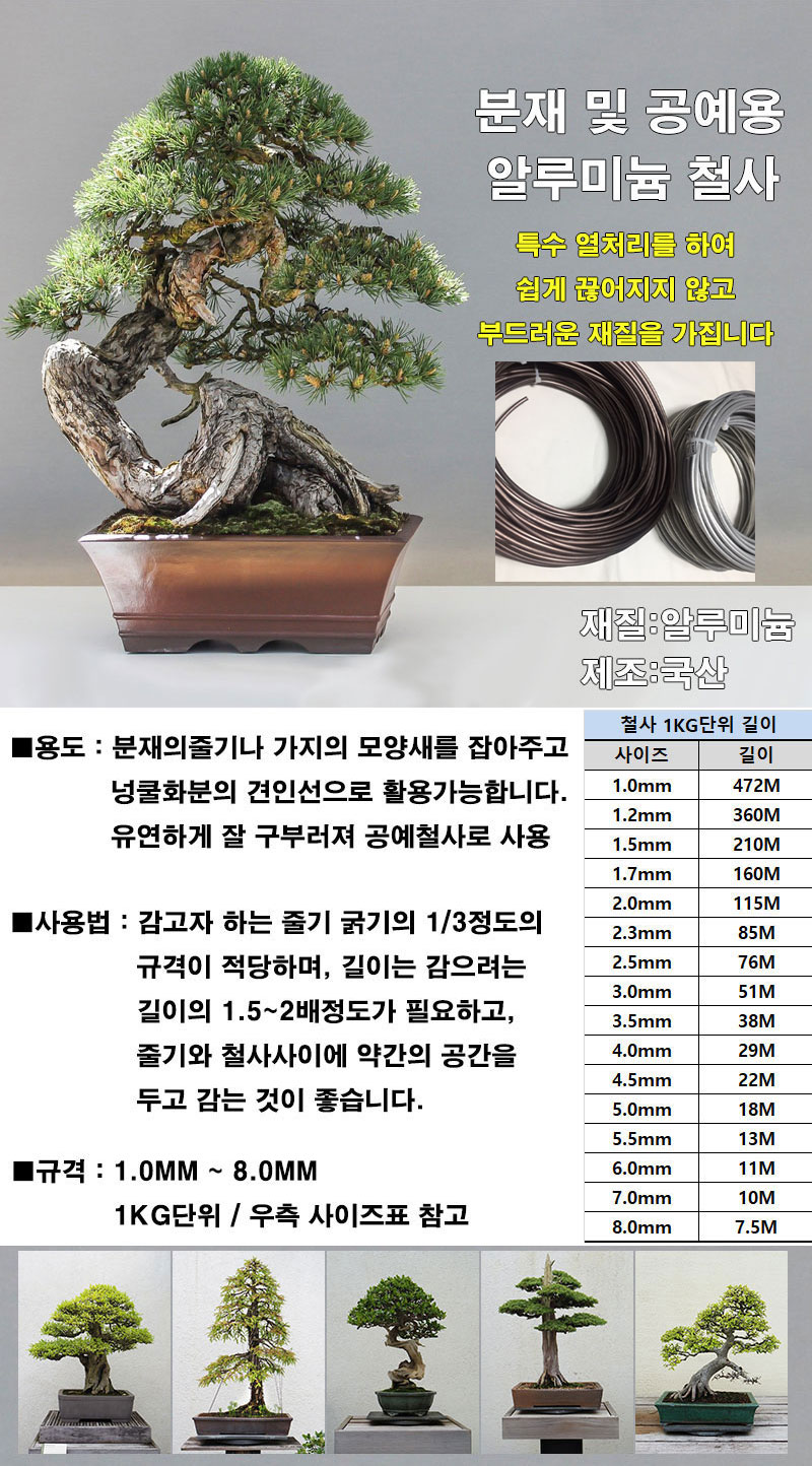 타이에스 이미지