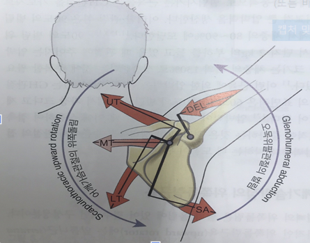 M트레이닝 이미지