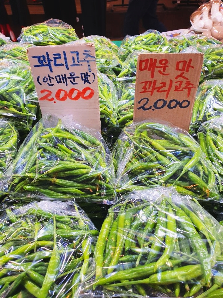 늘푸른야채 이미지