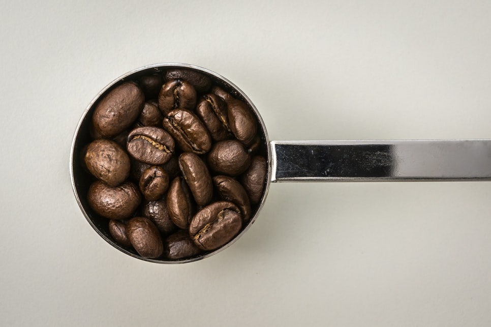 커피 옵저버토리(coffee observatory) 이미지