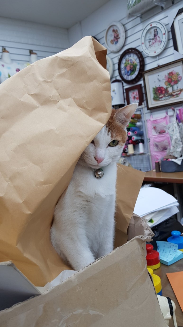 이정하갤러리 이미지