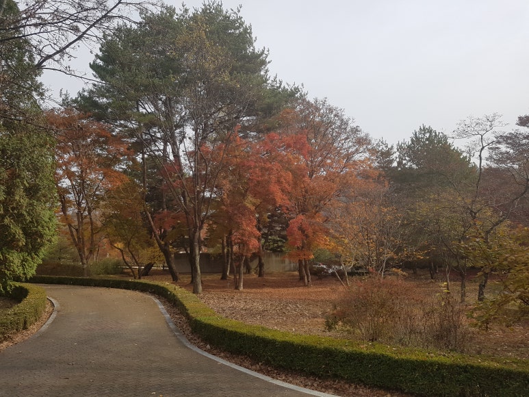 광고물 설계/제작업 이미지