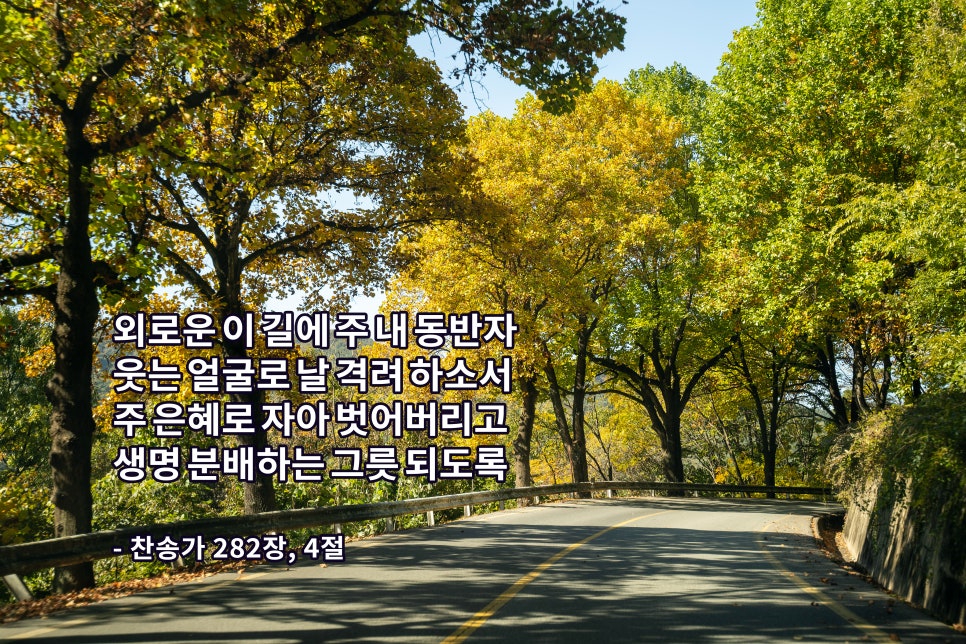 보배수선 이미지