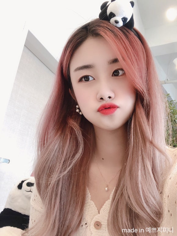 카페쿠잉롤 이미지