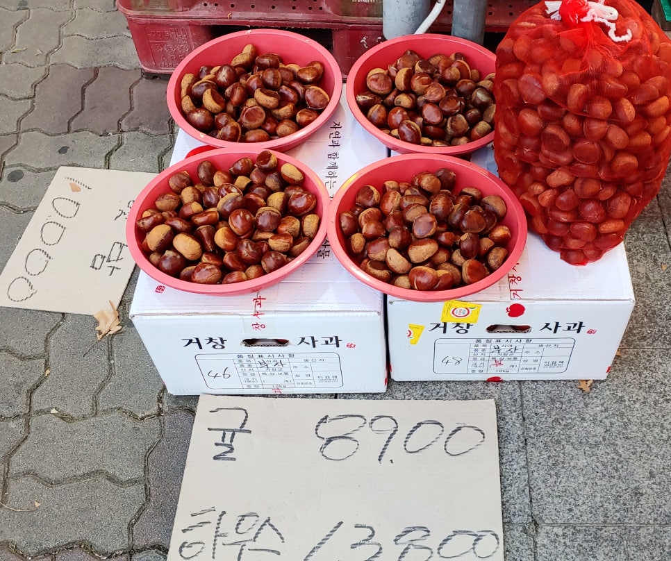 마운틴마트 이미지