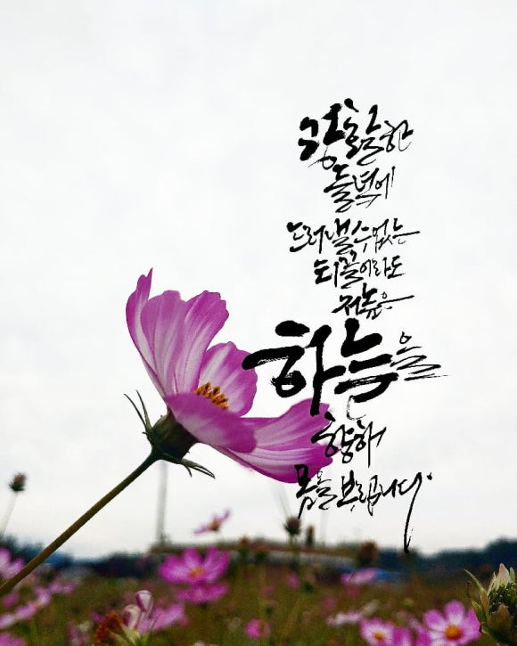 이도캘리그라피 이미지