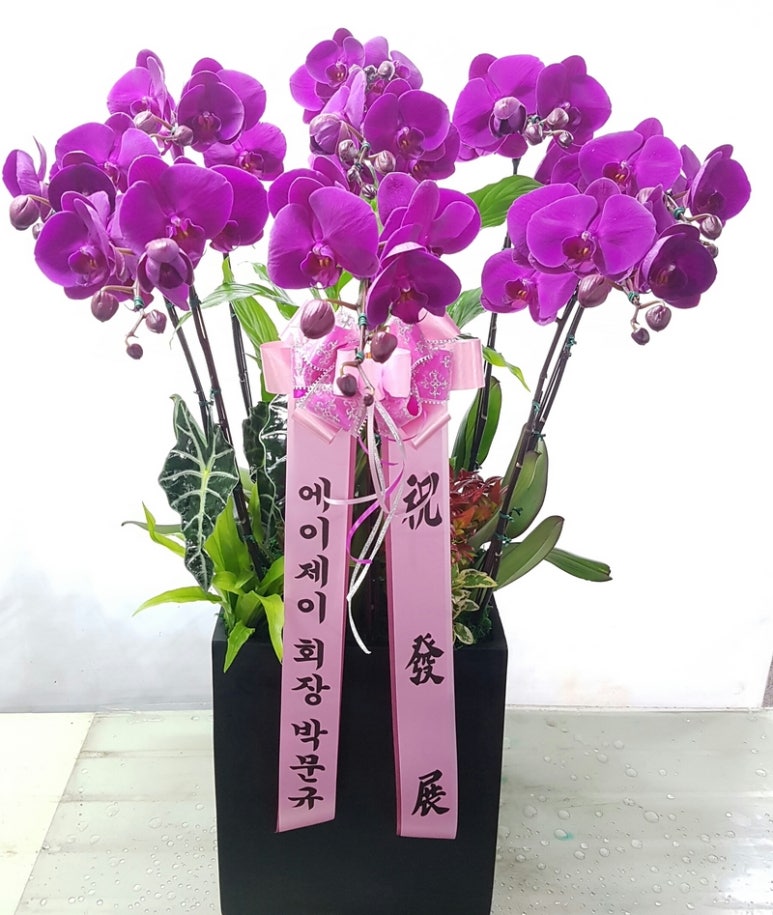 조윤주시인의꽃갤러리 이미지
