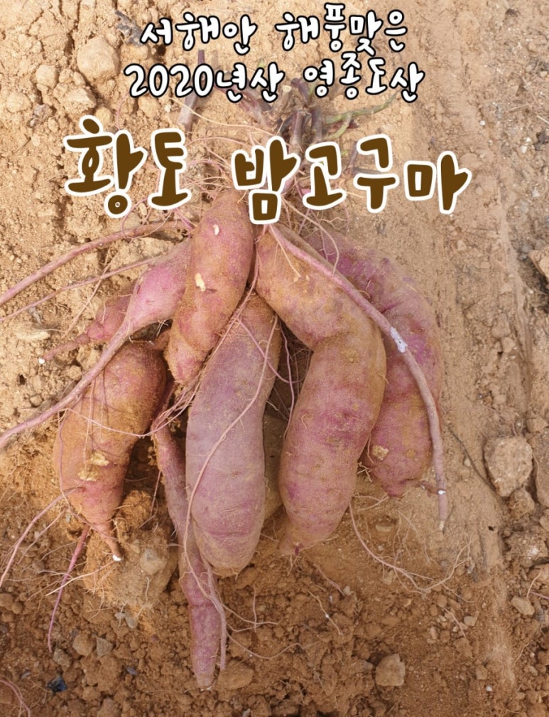 석화산농장 이미지