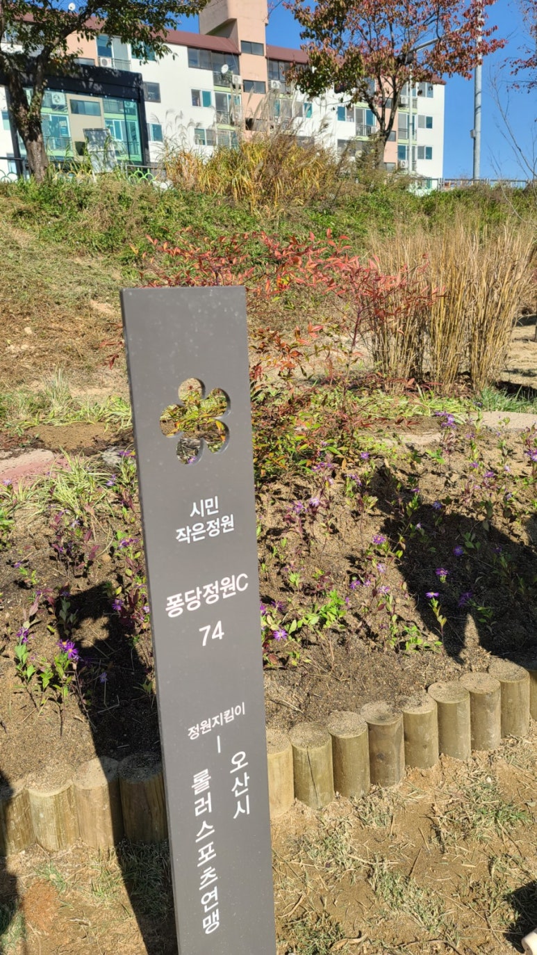 오산시롤러스포츠연맹 이미지