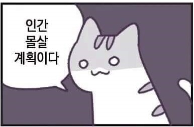 우리동네족발집 이미지