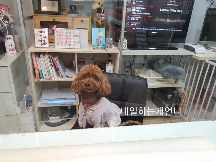 샵콕 이미지
