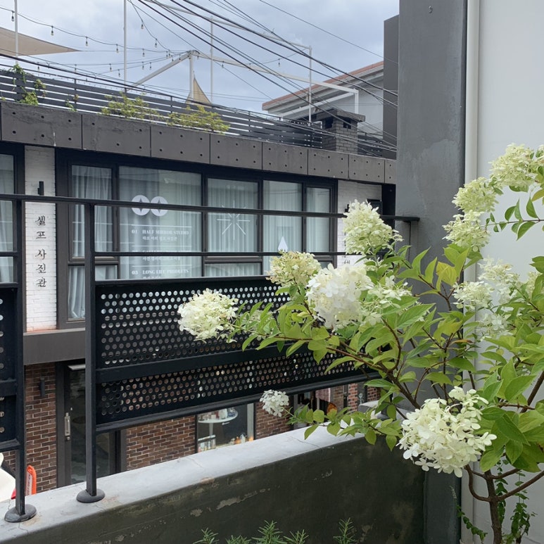 메리트리(meritree) 이미지
