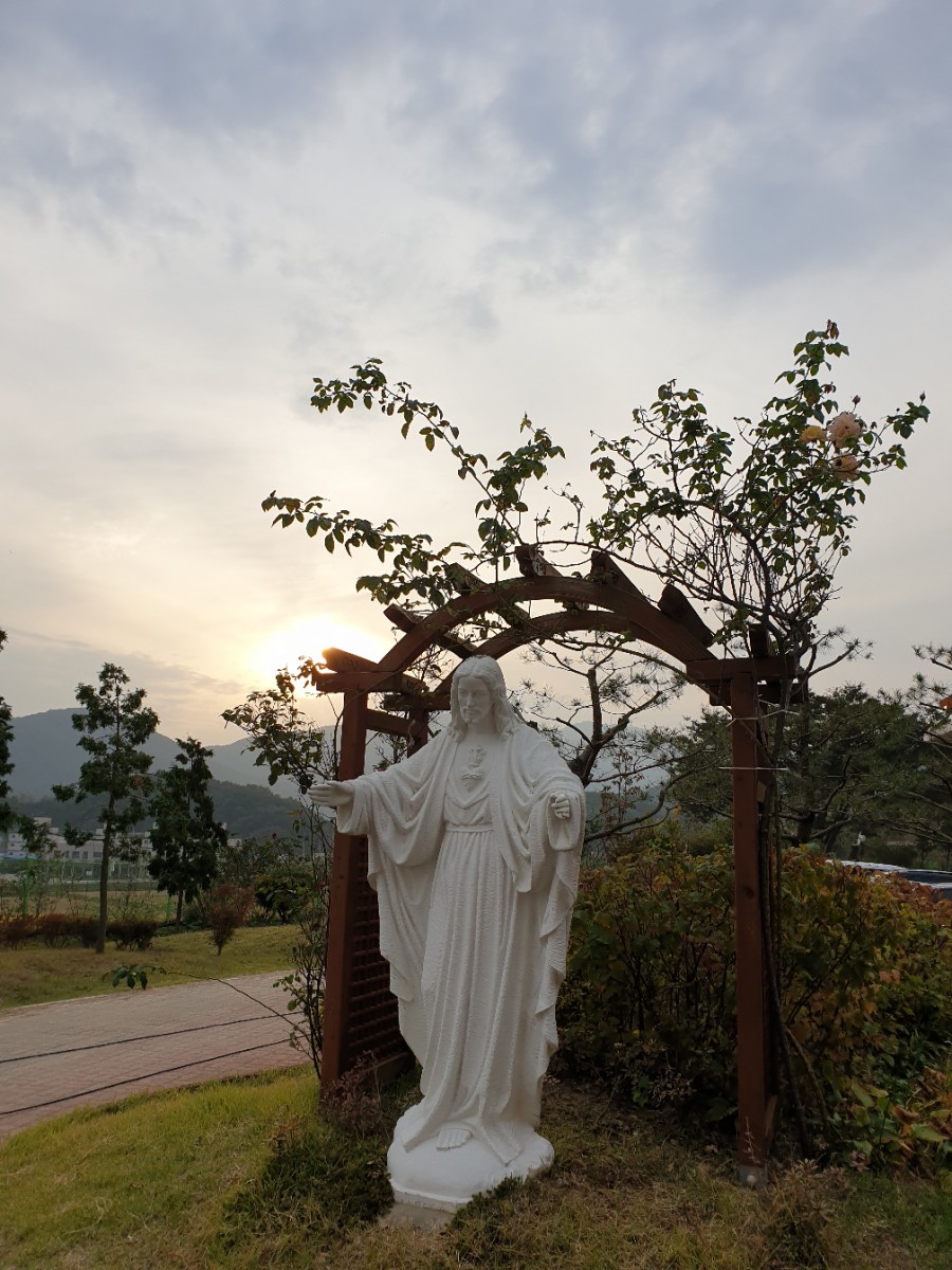 사회복지법인 천주교성체회 새감마을 이미지